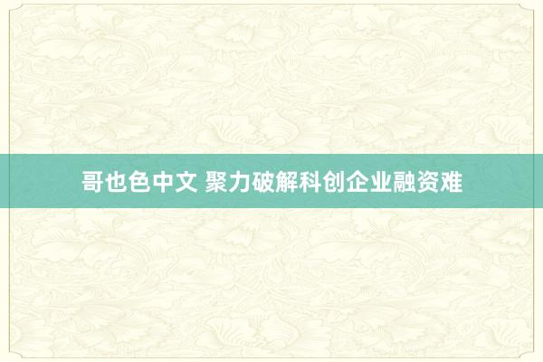 哥也色中文 聚力破解科创企业融资难
