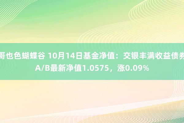 哥也色蝴蝶谷 10月14日基金净值：交银丰满收益债券A/B最新净值1.0575，涨0.09%