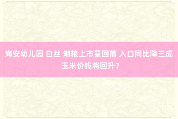 海安幼儿园 白丝 潮粮上市量回落 入口同比降三成 玉米价钱将回升？