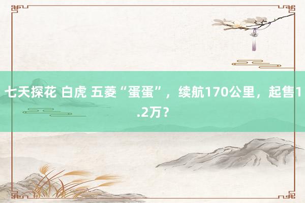 七天探花 白虎 五菱“蛋蛋”，续航170公里，起售1.2万？