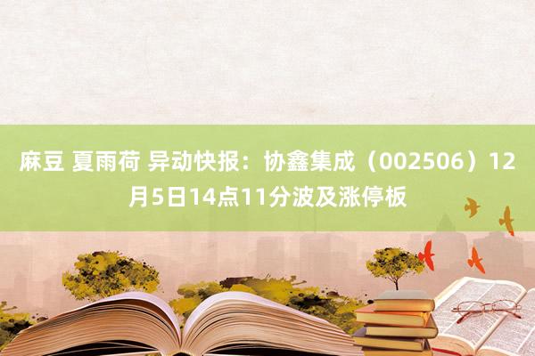 麻豆 夏雨荷 异动快报：协鑫集成（002506）12月5日14点11分波及涨停板