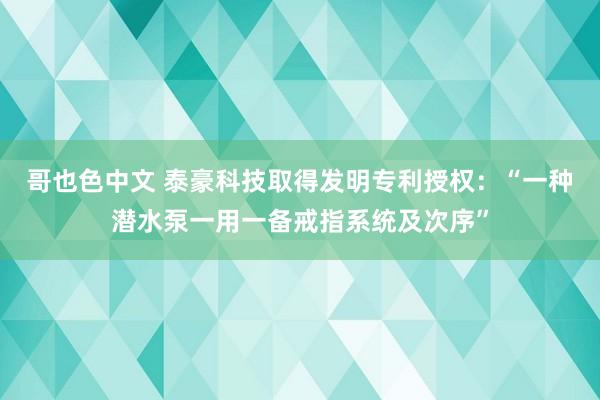 哥也色中文 泰豪科技取得发明专利授权：“一种潜水泵一用一备戒指系统及次序”