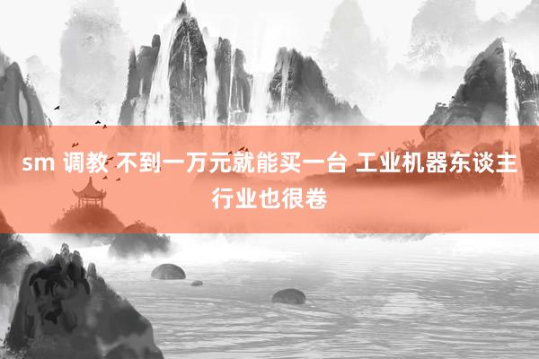 sm 调教 不到一万元就能买一台 工业机器东谈主行业也很卷