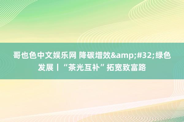 哥也色中文娱乐网 降碳增效&#32;绿色发展丨“茶光互补”拓宽致富路
