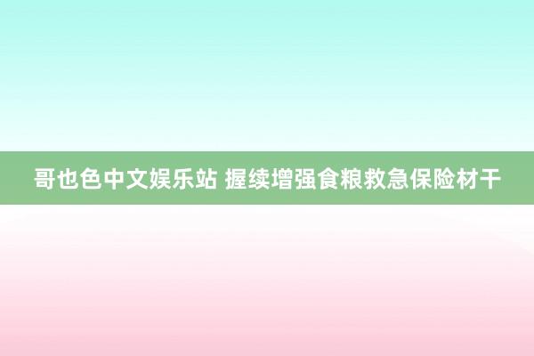 哥也色中文娱乐站 握续增强食粮救急保险材干