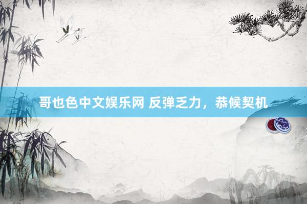 哥也色中文娱乐网 反弹乏力，恭候契机