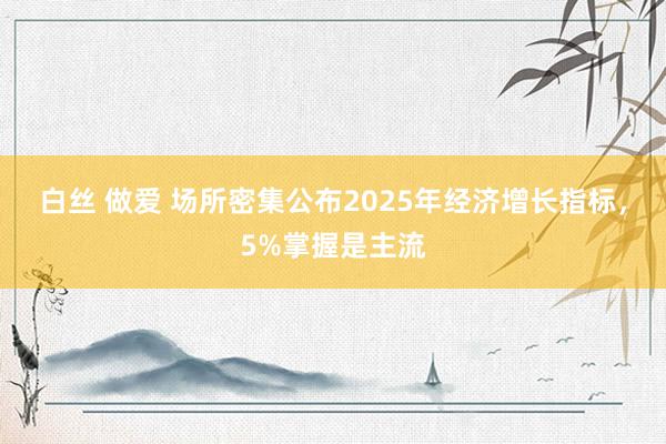 白丝 做爱 场所密集公布2025年经济增长指标，5%掌握是主流