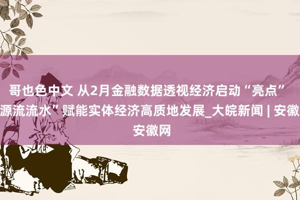 哥也色中文 从2月金融数据透视经济启动“亮点” “源流流水”赋能实体经济高质地发展_大皖新闻 | 安徽网