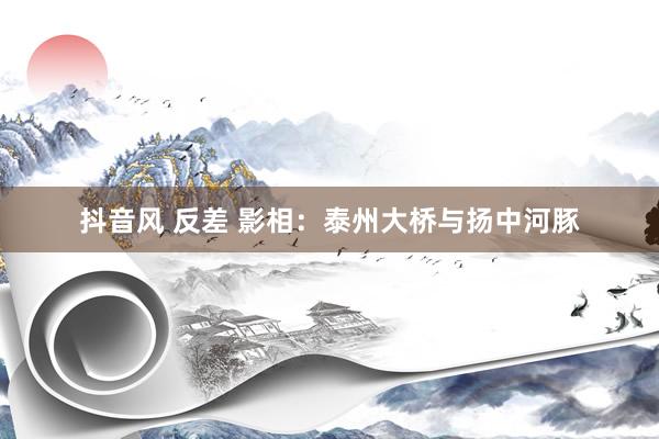 抖音风 反差 影相：泰州大桥与扬中河豚