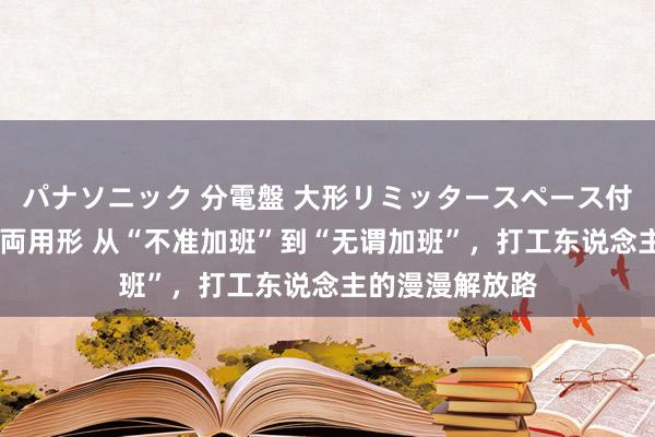 パナソニック 分電盤 大形リミッタースペース付 露出・半埋込両用形 从“不准加班”到“无谓加班”，打工东说念主的漫漫解放路