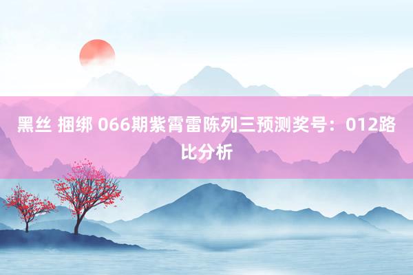 黑丝 捆绑 066期紫霄雷陈列三预测奖号：012路比分析