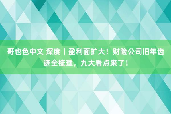 哥也色中文 深度｜盈利面扩大！财险公司旧年齿迹全梳理，九大看点来了！