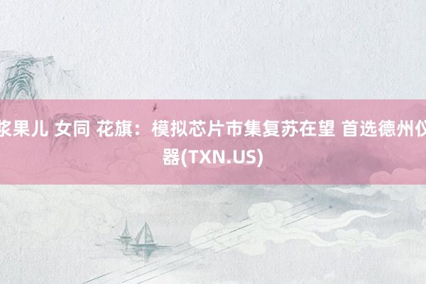 浆果儿 女同 花旗：模拟芯片市集复苏在望 首选德州仪器(TXN.US)