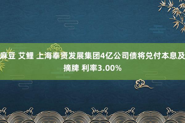 麻豆 艾鲤 上海奉贤发展集团4亿公司债将兑付本息及摘牌 利率3.00%