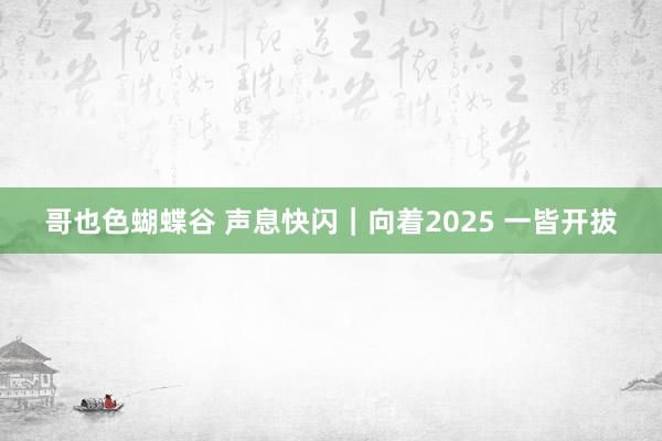 哥也色蝴蝶谷 声息快闪｜向着2025 一皆开拔