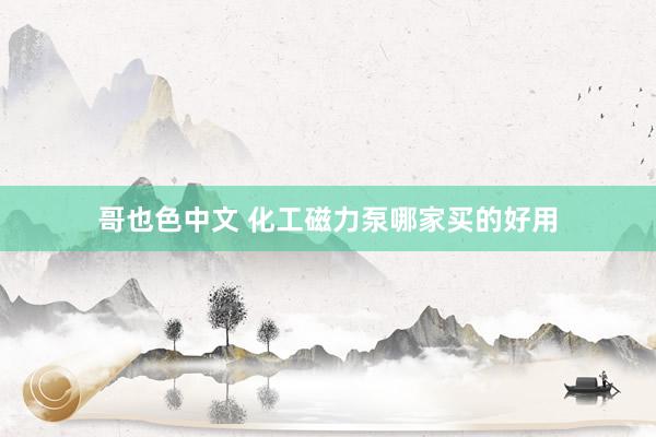 哥也色中文 化工磁力泵哪家买的好用