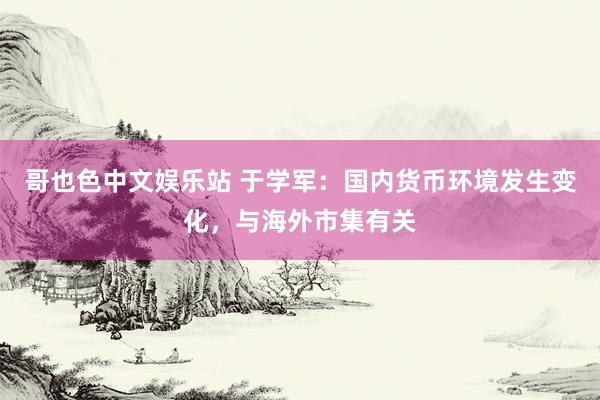 哥也色中文娱乐站 于学军：国内货币环境发生变化，与海外市集有关