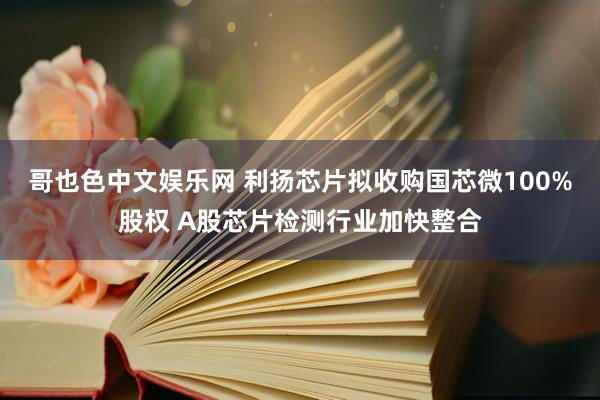 哥也色中文娱乐网 利扬芯片拟收购国芯微100%股权 A股芯片检测行业加快整合