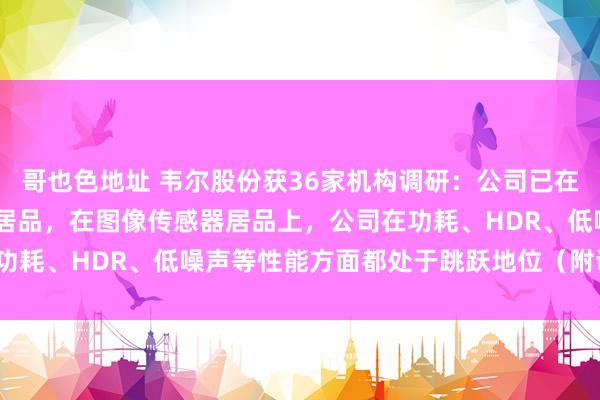 哥也色地址 韦尔股份获36家机构调研：公司已在AR眼镜上布局许多有关居品，在图像传感器居品上，公司在功耗、HDR、低噪声等性能方面都处于跳跃地位（附调研问答）