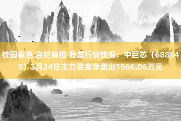 校园春色 自拍偷拍 股票行情快报：中巨芯（688549）3月24日主力资金净卖出1566.06万元