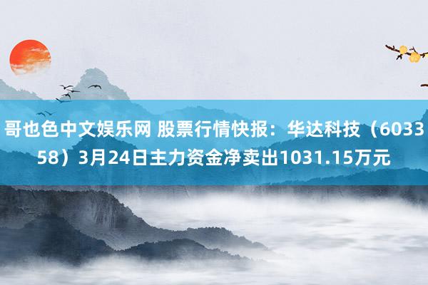 哥也色中文娱乐网 股票行情快报：华达科技（603358）3月24日主力资金净卖出1031.15万元