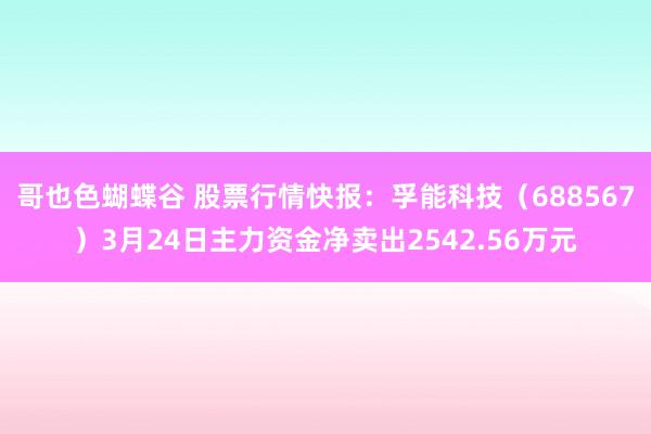 哥也色蝴蝶谷 股票行情快报：孚能科技（688567）3月24日主力资金净卖出2542.56万元