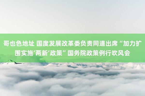 哥也色地址 国度发展改革委负责同道出席“加力扩围实施‘两新’政策”国务院政策例行吹风会