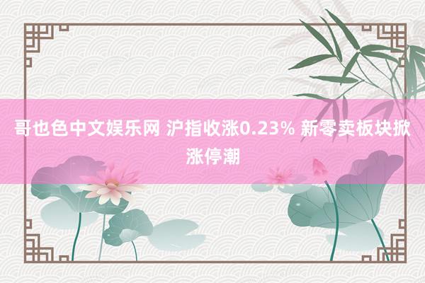 哥也色中文娱乐网 沪指收涨0.23% 新零卖板块掀涨停潮
