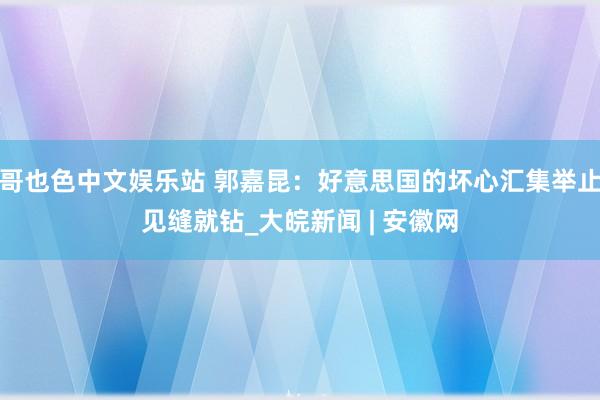 哥也色中文娱乐站 郭嘉昆：好意思国的坏心汇集举止见缝就钻_大皖新闻 | 安徽网