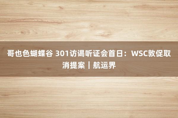 哥也色蝴蝶谷 301访谒听证会首日：WSC敦促取消提案｜航运界