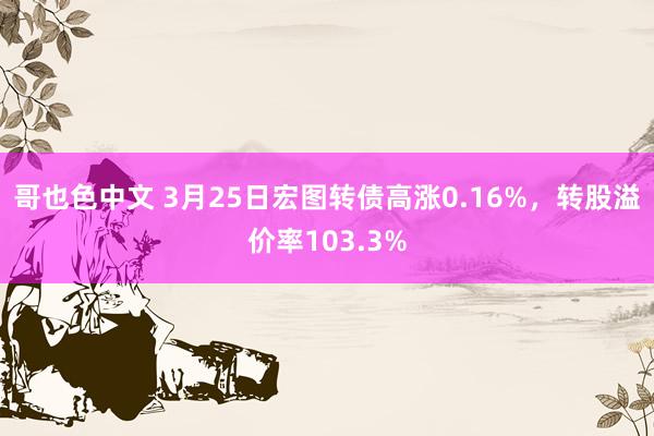 哥也色中文 3月25日宏图转债高涨0.16%，转股溢价率103.3%