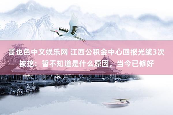 哥也色中文娱乐网 江西公积金中心回报光缆3次被挖：暂不知道是什么原因，当今已修好