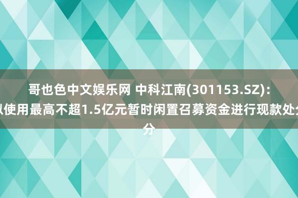 哥也色中文娱乐网 中科江南(301153.SZ)：拟使用最高不超1.5亿元暂时闲置召募资金进行现款处分