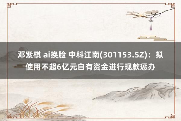邓紫棋 ai换脸 中科江南(301153.SZ)：拟使用不超6亿元自有资金进行现款惩办