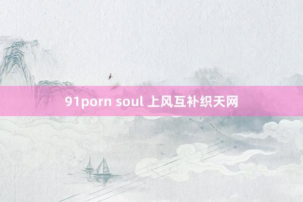 91porn soul 上风互补织天网