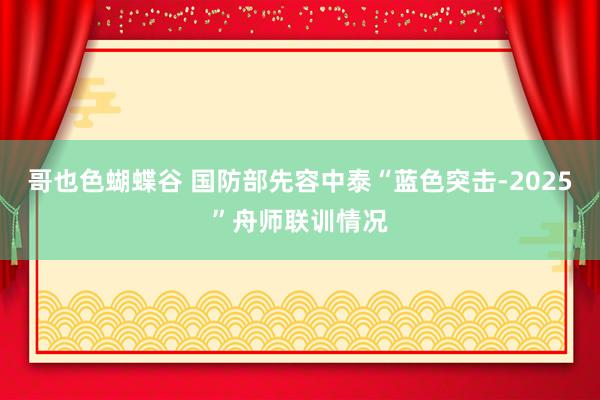 哥也色蝴蝶谷 国防部先容中泰“蓝色突击-2025”舟师联训情况