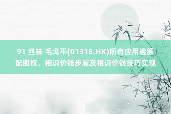 91 丝袜 毛戈平(01318.HK)所有应用逾额配股权、相识价钱步履及相识价钱技巧实现