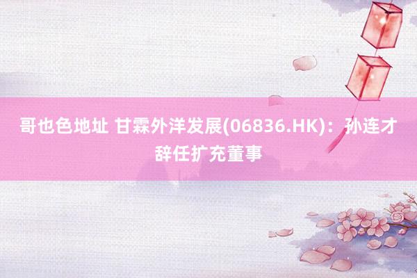 哥也色地址 甘霖外洋发展(06836.HK)：孙连才辞任扩充董事