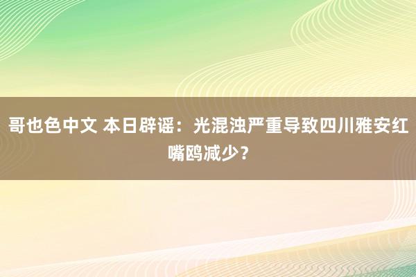 哥也色中文 本日辟谣：光混浊严重导致四川雅安红嘴鸥减少？