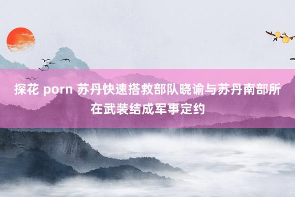 探花 porn 苏丹快速搭救部队晓谕与苏丹南部所在武装结成军事定约