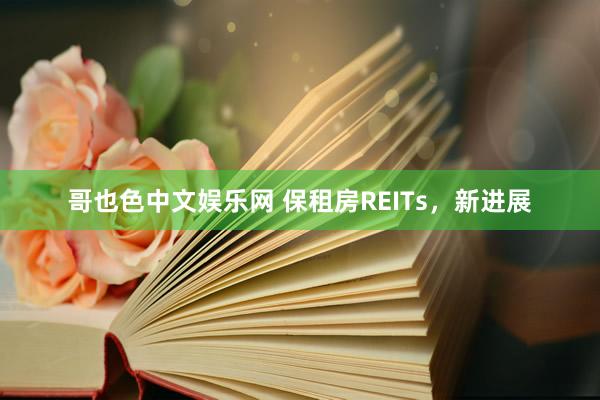 哥也色中文娱乐网 保租房REITs，新进展