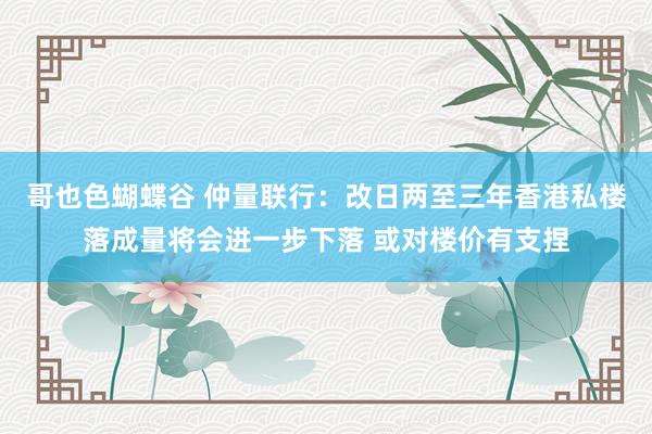 哥也色蝴蝶谷 仲量联行：改日两至三年香港私楼落成量将会进一步下落 或对楼价有支捏