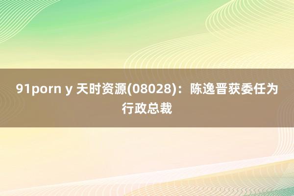 91porn y 天时资源(08028)：陈逸晋获委任为行政总裁