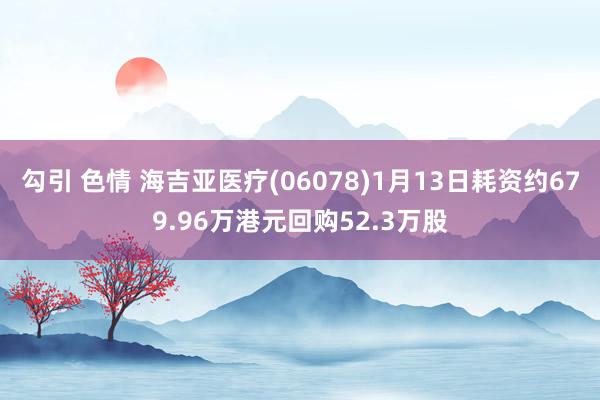 勾引 色情 海吉亚医疗(06078)1月13日耗资约679.96万港元回购52.3万股
