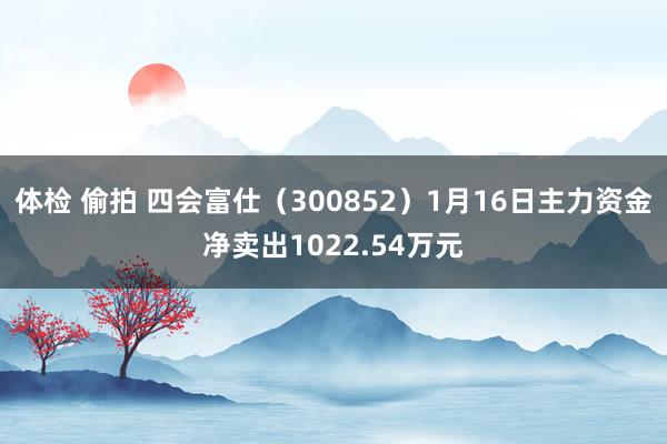 体检 偷拍 四会富仕（300852）1月16日主力资金净卖出1022.54万元