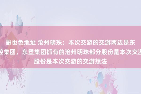 哥也色地址 沧州明珠：本次交游的交游两边是东塑集团和交控集团，东塑集团抓有的沧州明珠部分股份是本次交游的交游想法