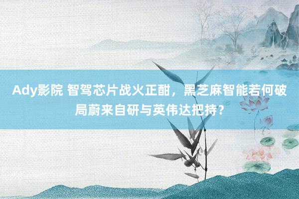 Ady影院 智驾芯片战火正酣，黑芝麻智能若何破局蔚来自研与英伟达把持？
