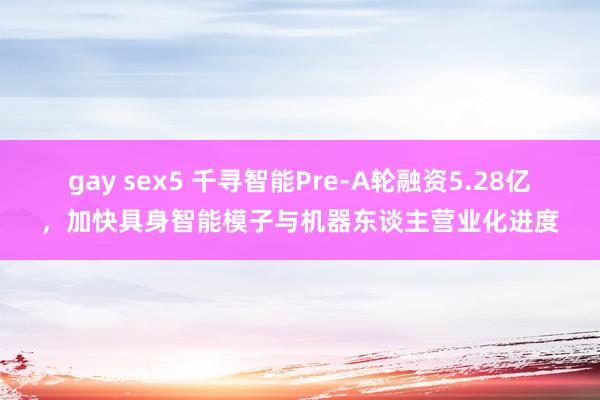 gay sex5 千寻智能Pre-A轮融资5.28亿，加快具身智能模子与机器东谈主营业化进度