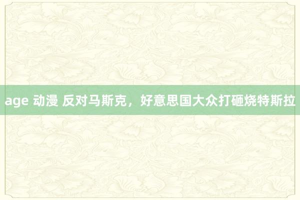 age 动漫 反对马斯克，好意思国大众打砸烧特斯拉