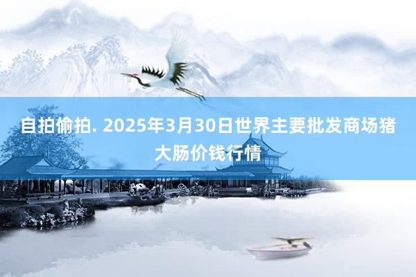 自拍偷拍. 2025年3月30日世界主要批发商场猪大肠价钱行情